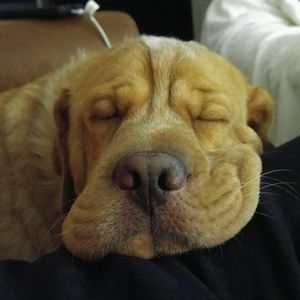 Meet your Posher, Kellie